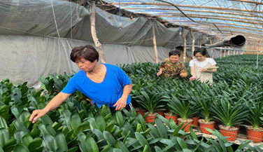 2020-08-16 11:41:46.758000