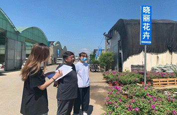 2020-08-16 11:35:08.425000